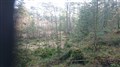 DSC_1091.JPG