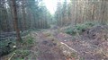 DSC_1094.JPG